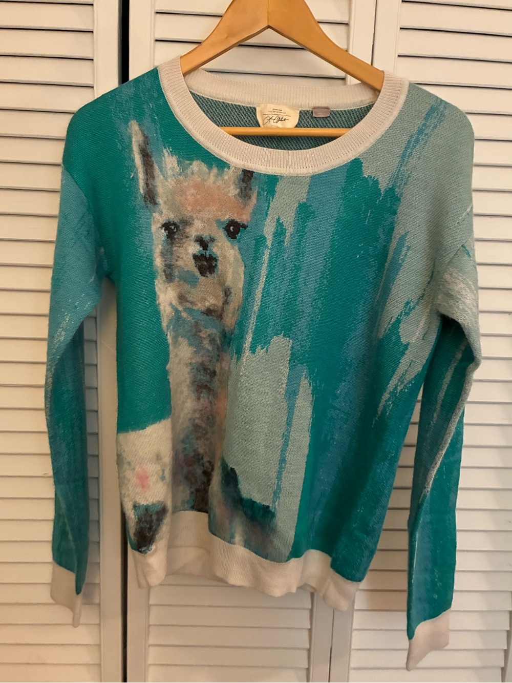Anthropologie Teal Llama Graphic Sweater - Women Large